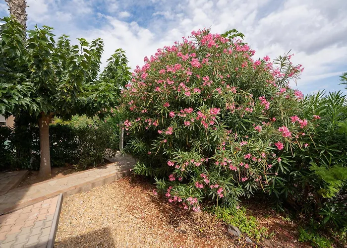 Avec Piscine Partagee * アグド