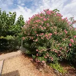 Villa Avec Piscine Partagee Agde