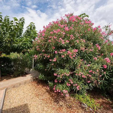 Avec Piscine Partagee * Agde